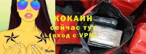тгк Абаза