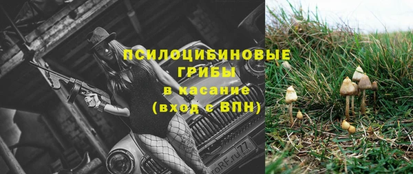 тгк Абаза