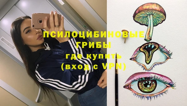 гидра Алексин