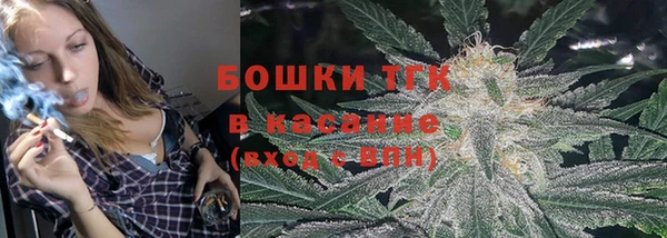 тгк Абаза