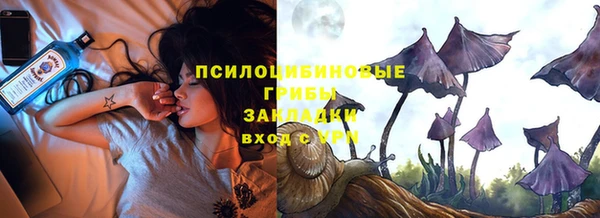 тгк Абаза