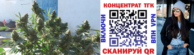 ТГК жижа  OMG ONION  Лысково  закладка 
