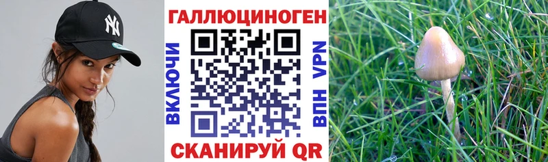 даркнет сайт Лысково Галлюциногенные грибы ЛСД